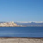 Magnifique 
