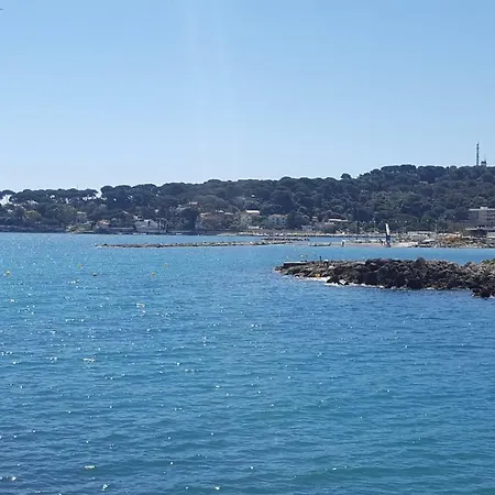 Magnifique 